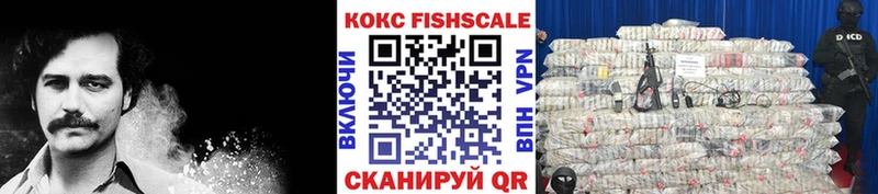 Кокаин FishScale  закладка  Нерюнгри 