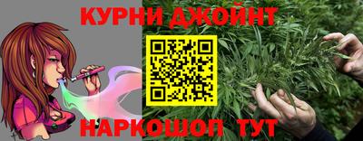 дурь Гусев