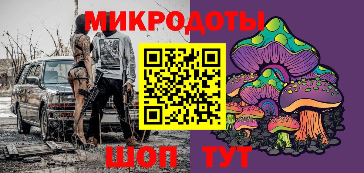 Галлюциногенные грибы Psilocybe Нерюнгри