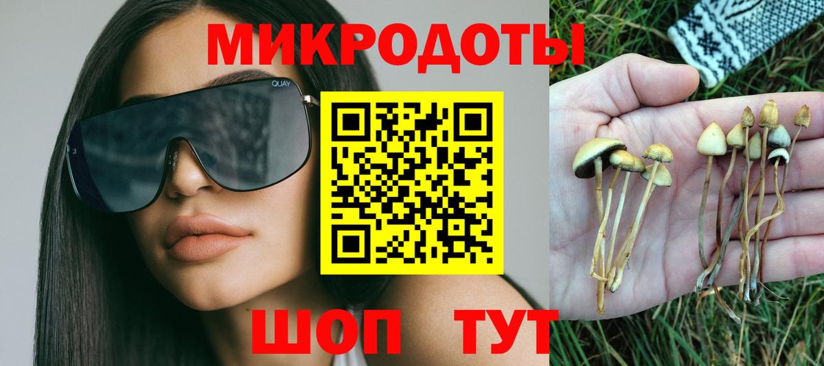 Галлюциногенные грибы GOLDEN TEACHER  Вход с VPN  Нерюнгри 